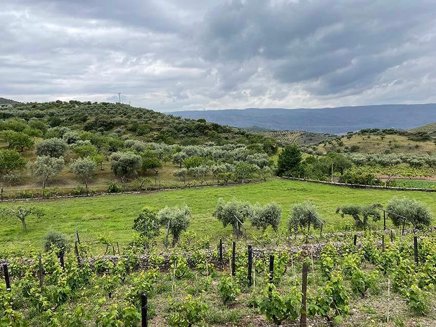 Vista da Quinta Pomar de Baixo