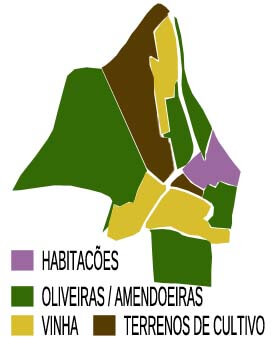 Mapa das zonas da propriedade